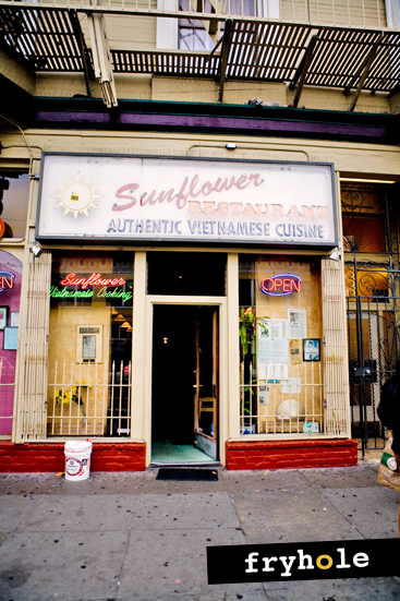 sunflower sf