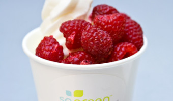 So Green: Frozen Yogurt w/Raspberries