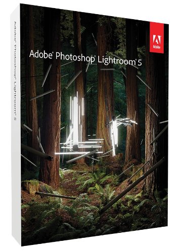 photography for beginners
