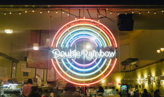 Double Rainbow – Mint Chocolate Chip Ice Cream